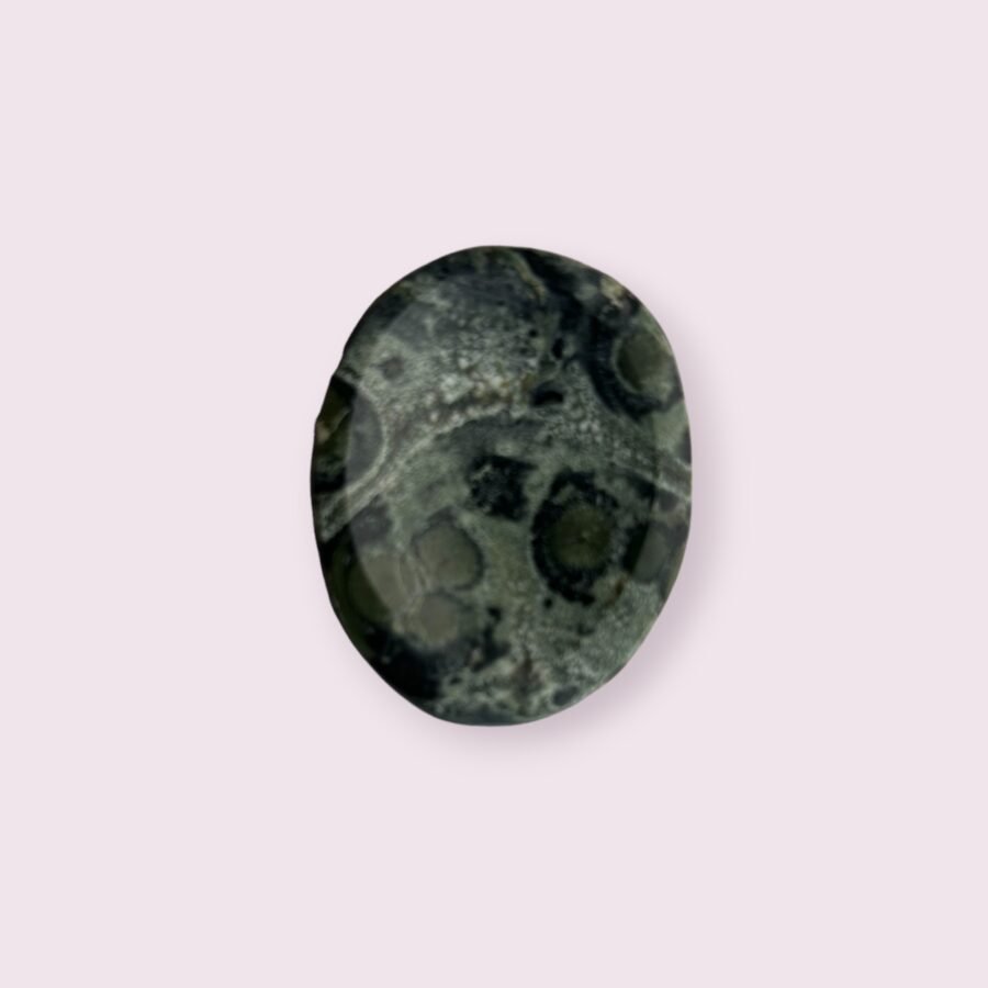 Kambaba Jasper Worry Stone for Grounding and Healing - Image 2