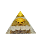 Gomati Chakra Pyramid - Turtle