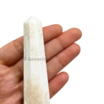 Scolocite Tower(Obelisk) - Image 6