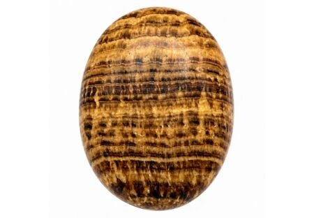 Aragonite Palm Stone